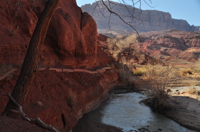 Paria Canyon Trail